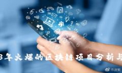 2023年火爆的区块链项目分析与展望