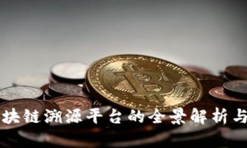 中药材区块链溯源平台的全景解析与应用前景