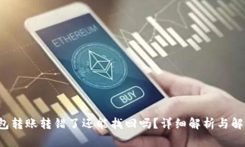  TP钱包转账转错了还能找回吗？详细解析与解决方案