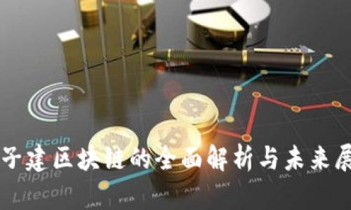 杜子建区块链的全面解析与未来展望