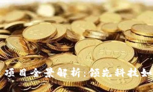 阿里巴巴区块链项目全景解析：领先科技如何塑造行业未来