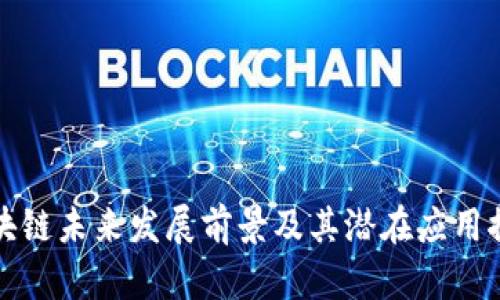 区块链未来发展前景及其潜在应用探讨
