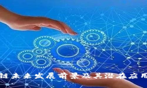 区块链未来发展前景及其潜在应用探讨