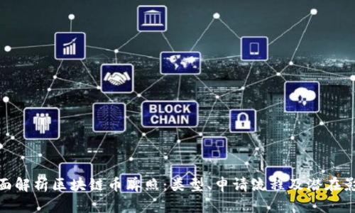 全面解析区块链币牌照：类型、申请流程及潜在影响