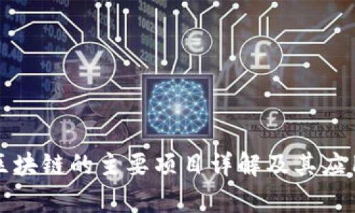 夸克区块链的主要项目详解及其应用潜力