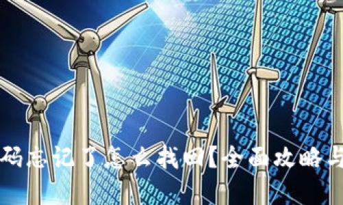 TP钱包密码忘记了怎么找回？全面攻略与解决方法