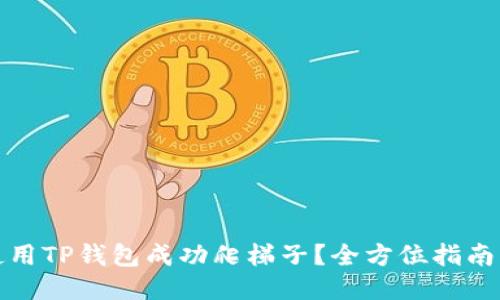 如何使用TP钱包成功爬梯子？全方位指南与技巧