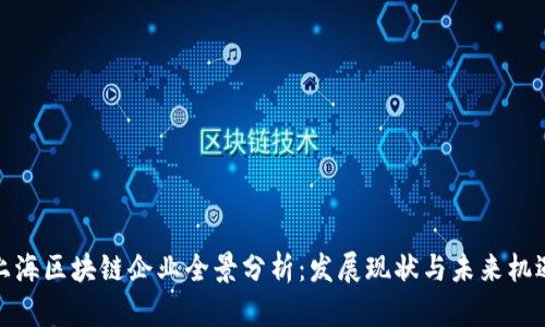 上海区块链企业全景分析：发展现状与未来机遇