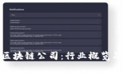 浦东区的区块链公司：行业概览及领先企业