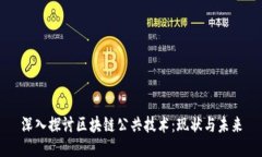 深入探讨区块链公共技术：现状与未来