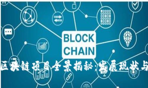 武汉新兴区块链项目全景揭秘：发展现状与未来趋势