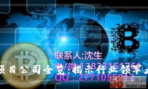 广西区块链项目公司全览：揭示行业领军者与发展机会