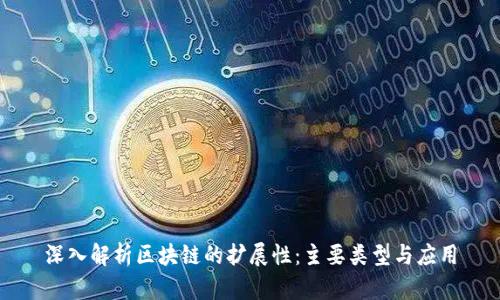 深入解析区块链的扩展性：主要类型与应用