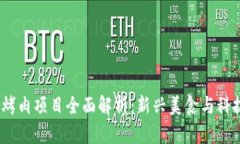  区块链烤肉项目全面解析：新兴美食与科技的结
