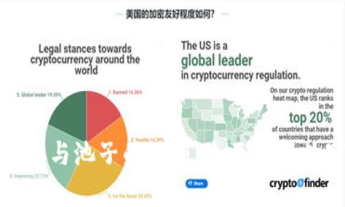 TP钱包中的币与池子的区别：全面解析数字资产管理