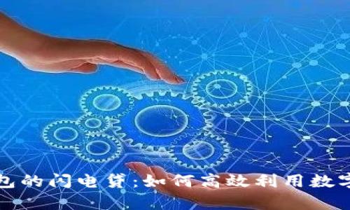 深入解析TP钱包的闪电贷：如何高效利用数字货币的灵活性