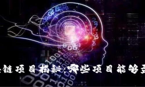 区块链项目揭秘：哪些项目能够盈利？