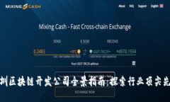 深圳区块链开发公司全景指南：探索行业顶尖先