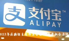 2023年区块链主题股票全解析：投资机会与潜力