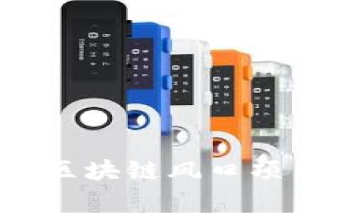 当前热门的区块链风口项目分析与展望