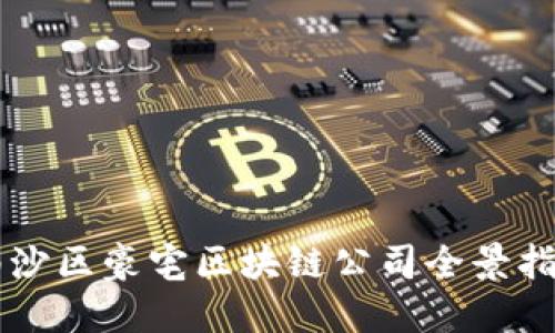 南沙区豪宅区块链公司全景指南