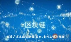 揭露广东区块链骗局：真相、案例及预防措施