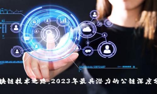 区块链技术之路：2023年最具潜力的公链深度分析