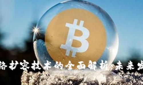 区块链网络扩容技术的全面解析：未来发展的关键