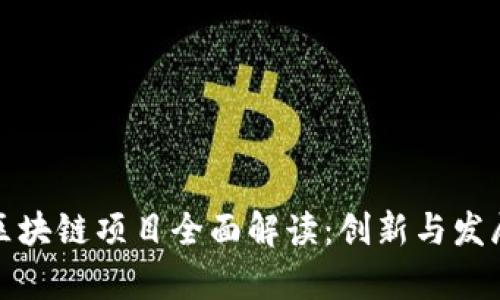 贵阳区块链项目全面解读：创新与发展现状