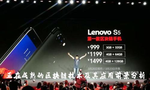 正在成熟的区块链技术及其应用前景分析