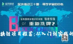 无投资区块链项目推荐：从入门到实践的全面指