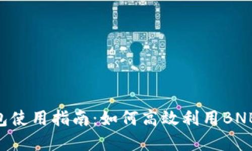 TokenPocket钱包使用指南：如何高效利用BNB进行交易和投资