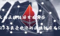 最火的区块链项目有哪些2023年最受欢迎的区块链