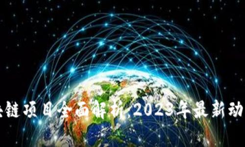 纽约区块链项目全面解析：2023年最新动态与前景