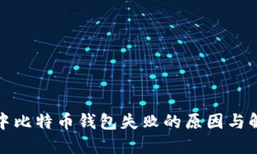 TP钱包中比特币钱包失败的原因与解决方案
