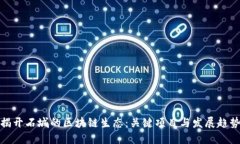 揭开石城的区块链生态：关键项目与发展趋势