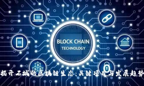 揭开石城的区块链生态：关键项目与发展趋势