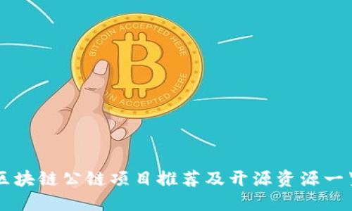 区块链公链项目推荐及开源资源一览