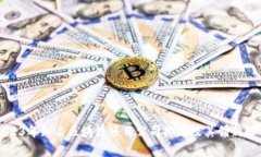 2023年知名区块链项目公司排名及其创新解析