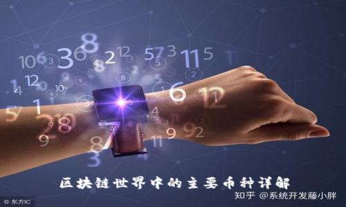 区块链世界中的主要币种详解