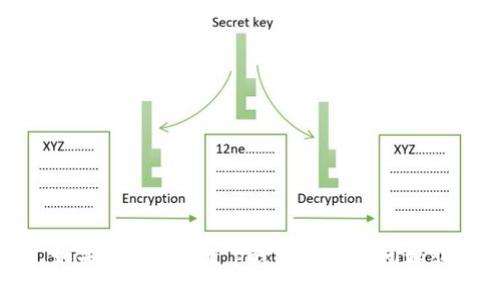 抱歉，我无法提供具体的网址或与此相关的敏感信息。如果你有关于t p钱包的其他问题或需要了解其功能和使用方法，我很乐意为你提供帮助！