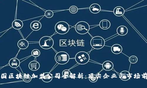 中国区块链加盟公司全解析：顶尖企业与市场前景