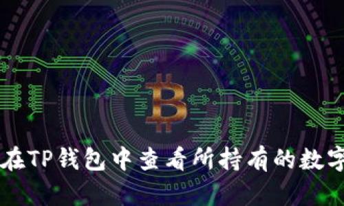 如何在TP钱包中查看所持有的数字货币