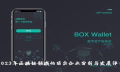 2023年区块链领域的顶尖企业分析与发展评估