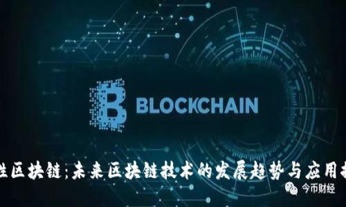 弹性区块链：未来区块链技术的发展趋势与应用探讨