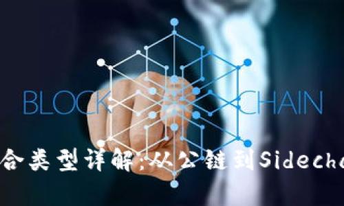 区块链项目组合类型详解：从公链到Sidechain的全景分析