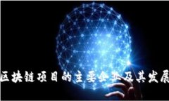 郴州区块链项目的主要企业及其发展现状