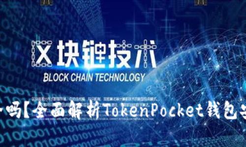 TokenPocket安全吗？全面解析TokenPocket钱包安全性及使用指南