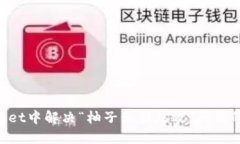 TokenPocket中解决“柚子私钥无效”问题的终极指南