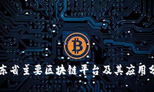 山东省主要区块链平台及其应用分析